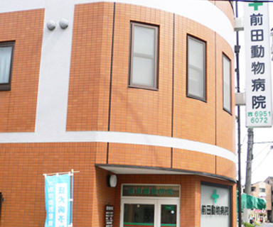 Maeda Animal Hospital is nearby